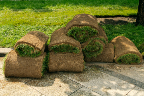 Sod Grass Installation in Niceville, FL Sod Grass Installation in Niceville, FL