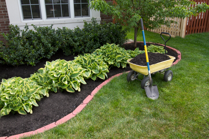 Professional Landscaping in Niceville, FL Professional Landscaping in Niceville, FL