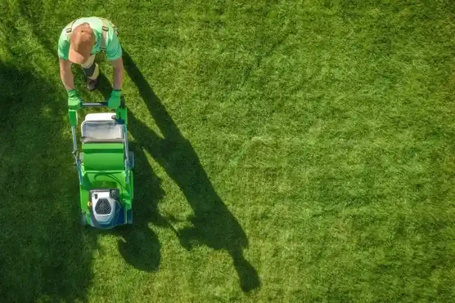 Affordable Grass Cutting Niceville, FL