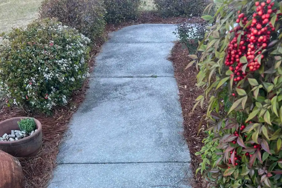 Affordable Landscaper Affordable Landscaper