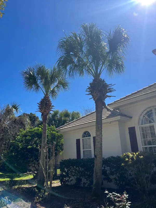 Expert Landscaping Services
