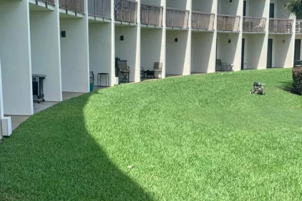 Grass Cutting