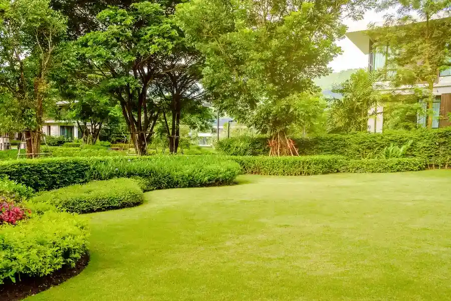 How Landscaping Boosts Property Value For Homeowners in Niceville, FL