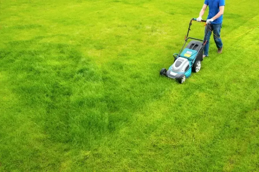 How Mowing Patterns Affect Lawn Growth Niceville, FL