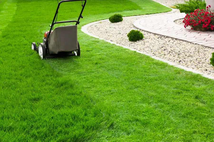 How Mowing Patterns Affect Lawn Growth in Niceville, FL