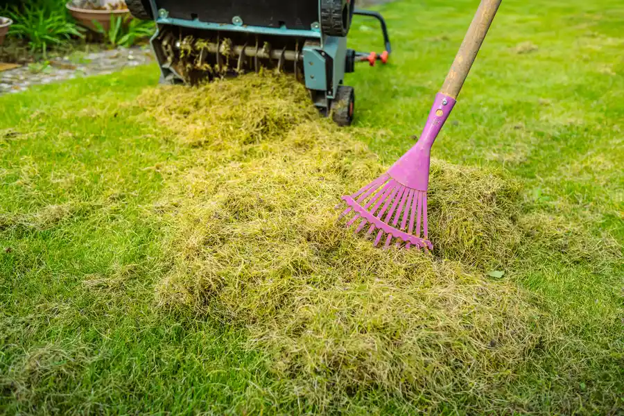 How To Keep Your Yard Looking Great All Year Long Niceville, FL How To Keep Your Yard Looking Great All Year Long Niceville, FL