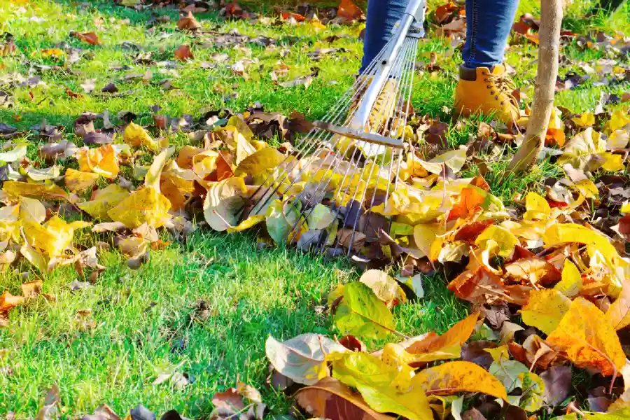 How To Keep Your Yard Looking Great All Year Long in Niceville, FL How To Keep Your Yard Looking Great All Year Long in Niceville, FL