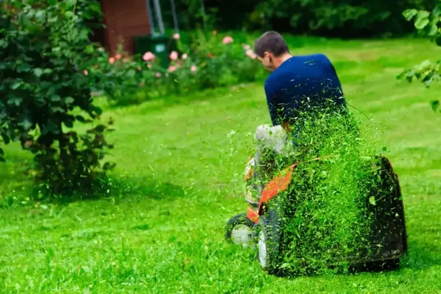 Professional Grass Cutting Niceville, FL