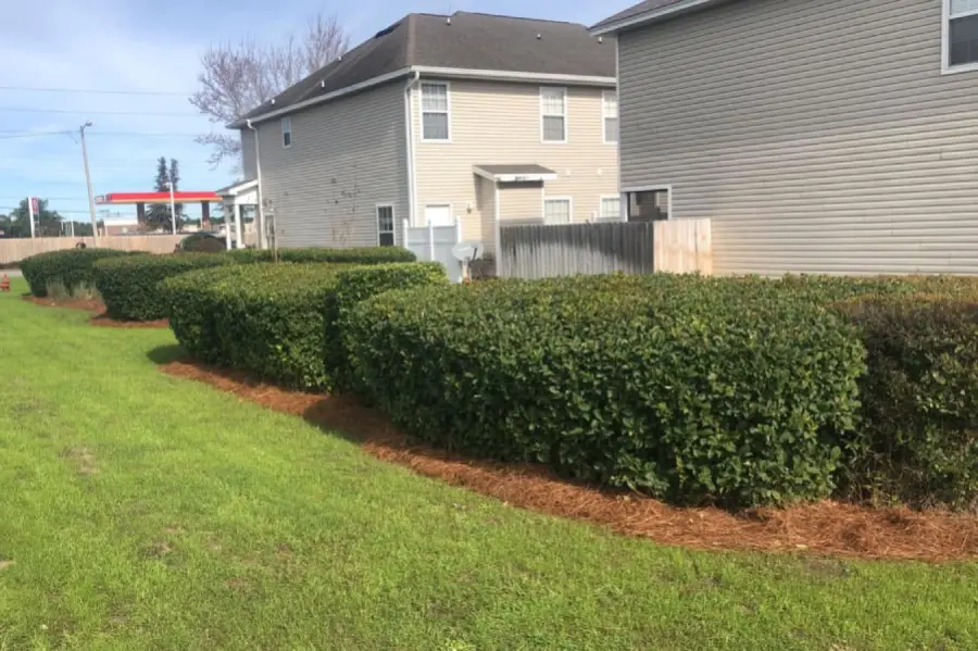 Professional Landscaping in Niceville, FL