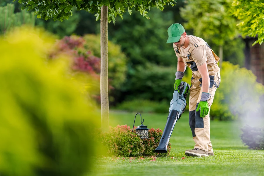 Reputable Yard Maintenance Niceville, FL Reputable Yard Maintenance Niceville, FL