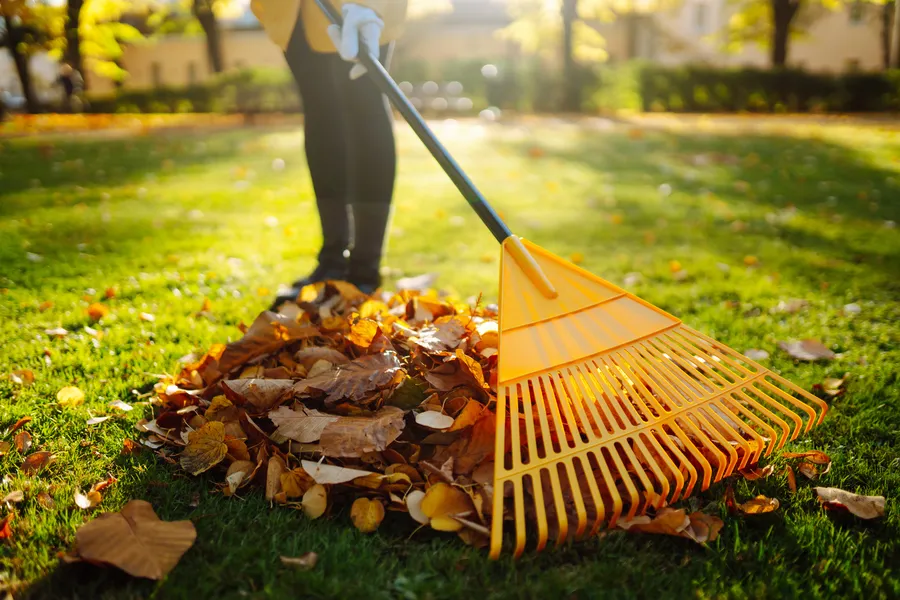 Seasonal Yard Maintenance Tips For Optimal Lawn Care Niceville, FL