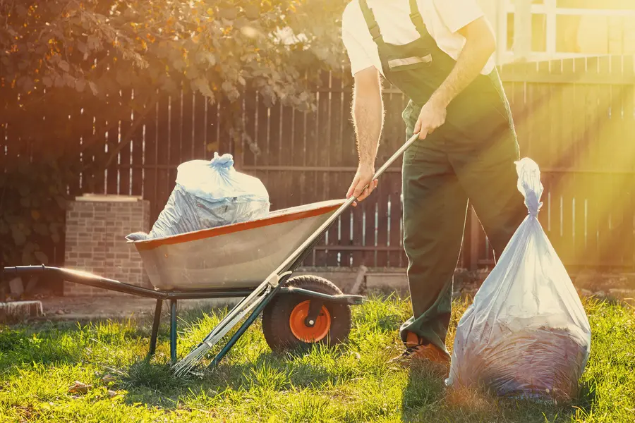 Seasonal Yard Maintenance Tips For Optimal Lawn Care in Niceville, FL