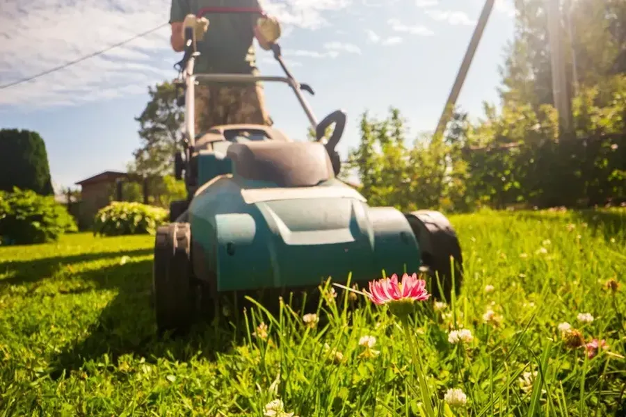 Tips For Grass Cutting During Dry Weather in Niceville, FL