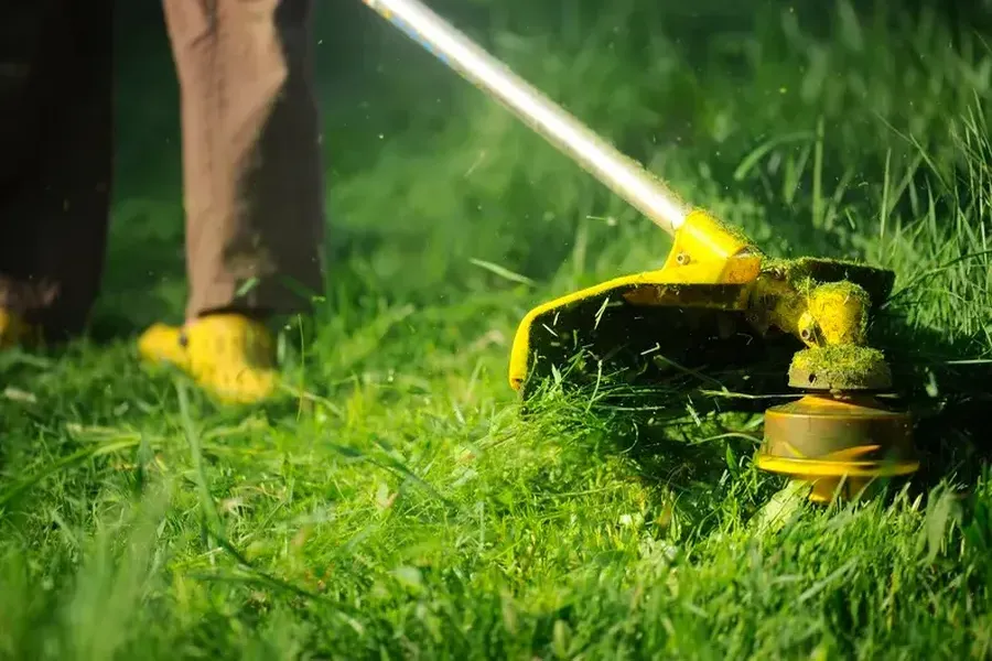 Top-rated Grass Cutting Niceville, FL