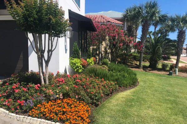 Yard Maintenance